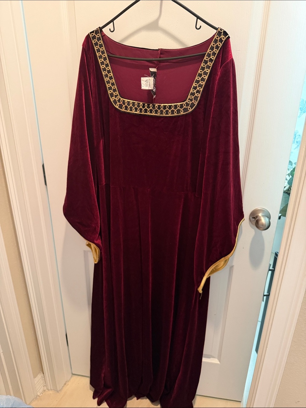 Disney Mother Golther from Tangled Burgundy Velvet Maxi Dress with Gold Trim 3x